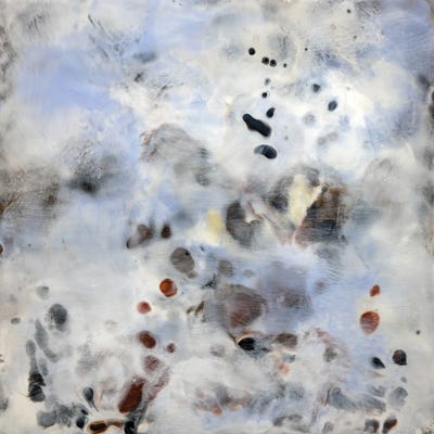 Kapha III by Brigitte Balbinot canvas print