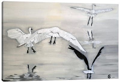 Sky Ballet Canvas Art Print - Swan Art