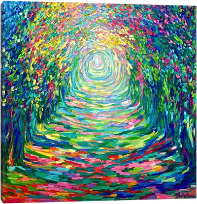 Path To The Unknown Canvas Art Print - Julia Borg