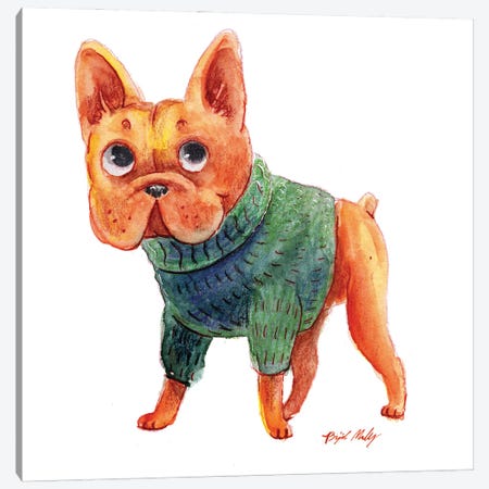 French Bulldog In Green Sweater Canvas Print #BGM13} by Brigid Malloy Canvas Artwork