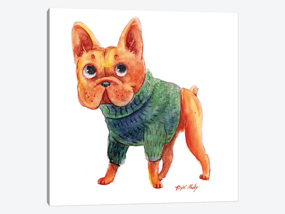 French Bulldog In Green Sweater by Brigid Malloy 1-piece Canvas Print