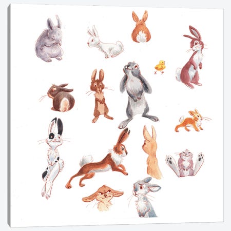 Bunnies Canvas Print #BGM1} by Brigid Malloy Canvas Art