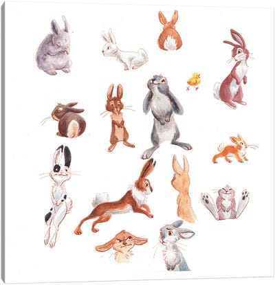 Bunnies Canvas Art Print - Brigid Malloy