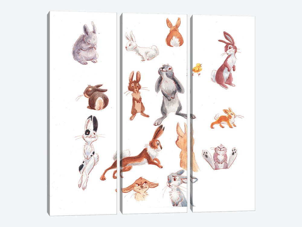 Bunnies by Brigid Malloy 3-piece Canvas Artwork