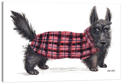Scottie Dog In Red Sweater Vest Canvas Art Print