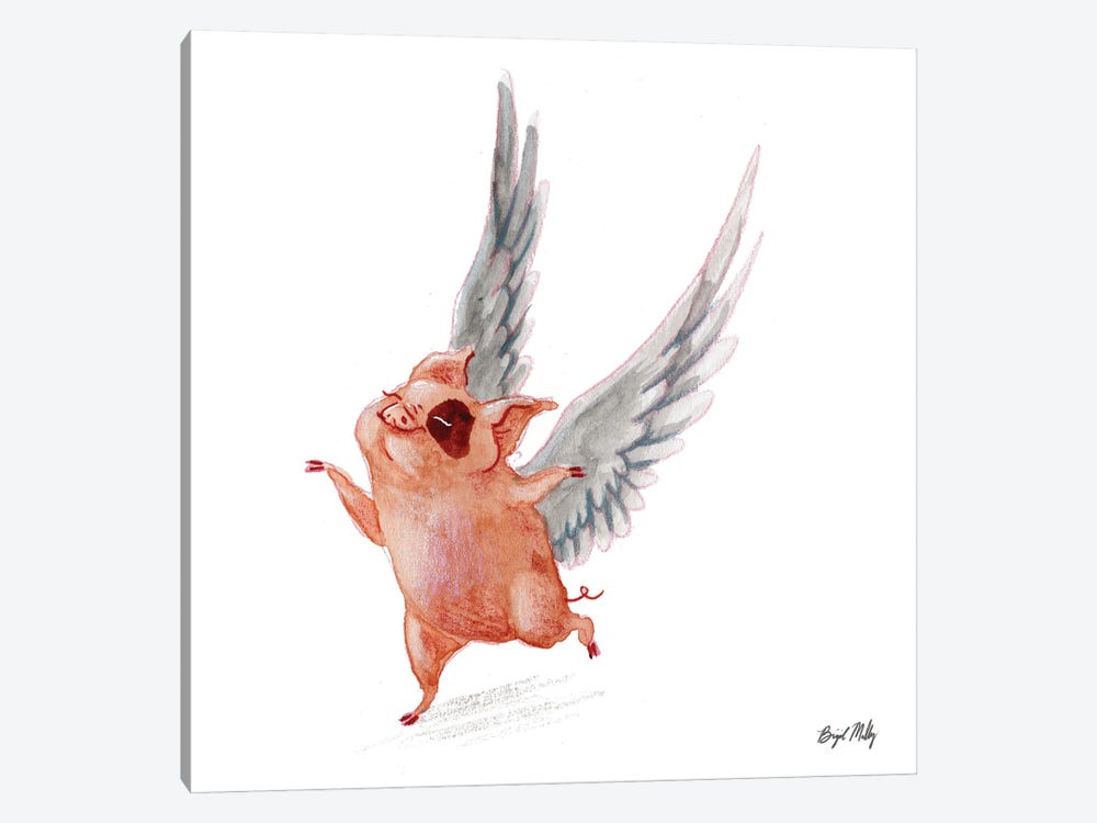 Flying Pig I by Brigid Malloy 1-piece Canvas Print