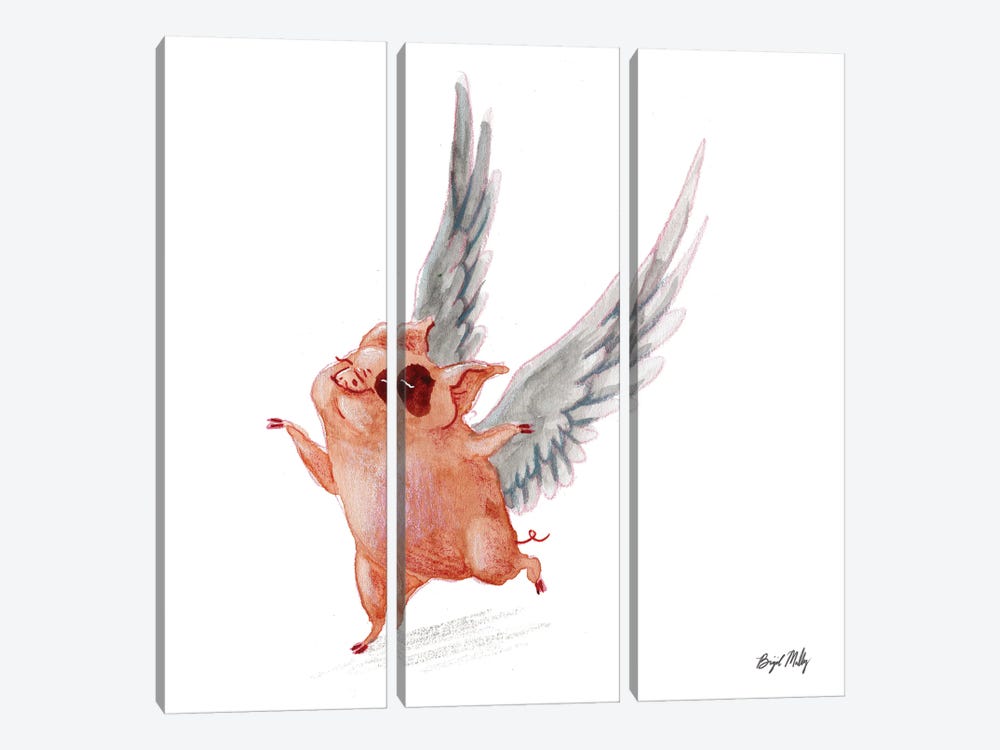 Flying Pig I by Brigid Malloy 3-piece Canvas Art Print
