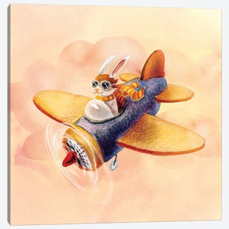 Bunny On A Plane Canvas Print #BGM28} by Brigid Malloy Canvas Art Print
