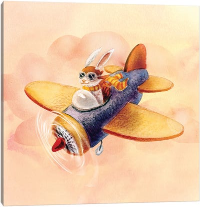 Bunny On A Plane Canvas Art Print - Brigid Malloy