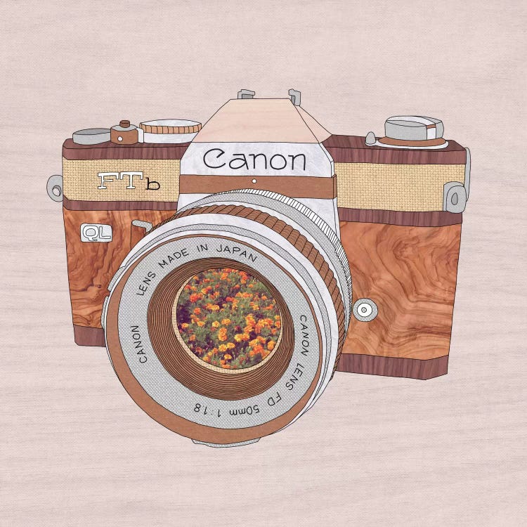 Wood Canon by Bianca Green wall art