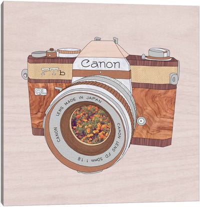 Wood Canon Canvas Art Print - Photography as a Hobby