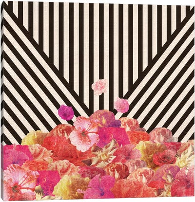 Floraline Canvas Art Print - Stripe Patterns
