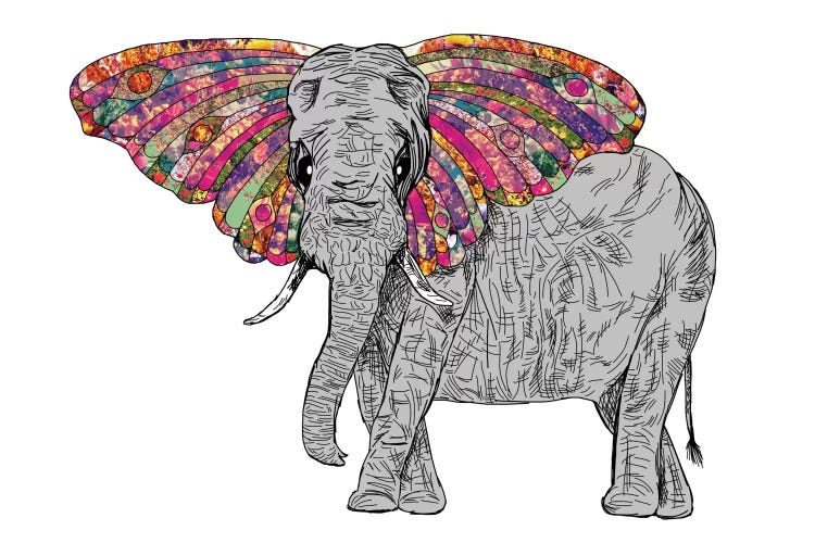 Bella The Happy Butterphant by Bianca Green wall art