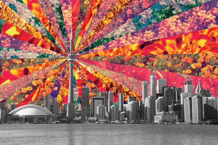 Blooming Toronto by Bianca Green wall art