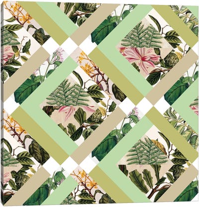 Cubed Vintage Botanicals Canvas Art Print - Bianca Green