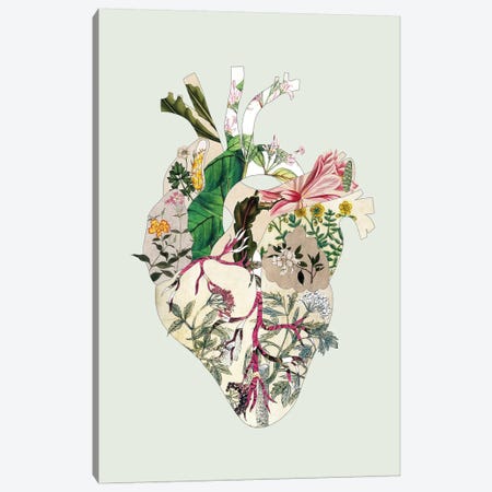 Vinatge Botanical Heart Green Canvas Print #BGR72} by Bianca Green Art Print