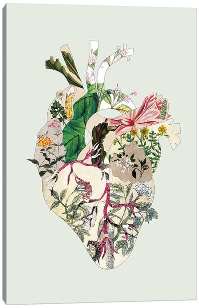 Vinatge Botanical Heart Green Canvas Art Print