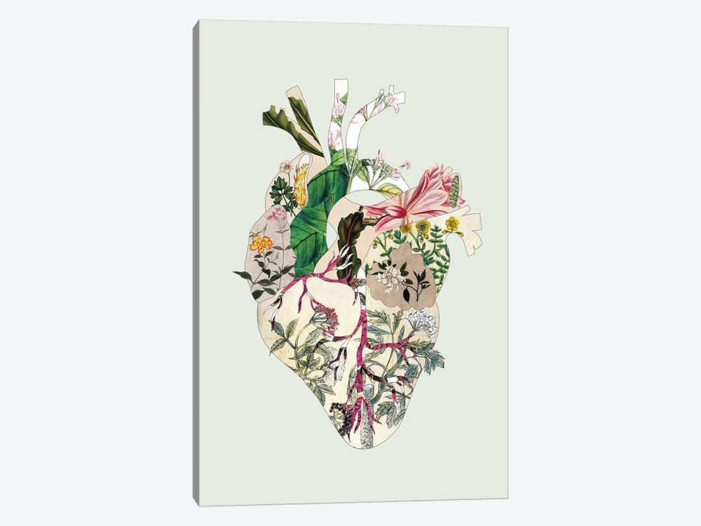 Vinatge Botanical Heart Green by Bianca Green 1-piece Canvas Art Print
