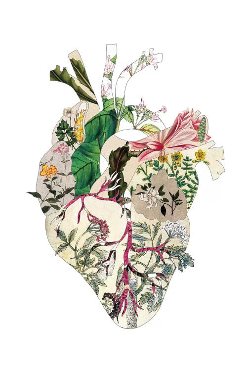 Vinatge Botanical Heart