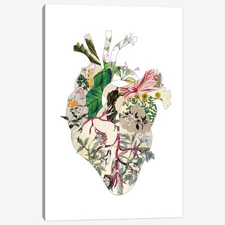 Vinatge Botanical Heart Canvas Print #BGR73} by Bianca Green Art Print