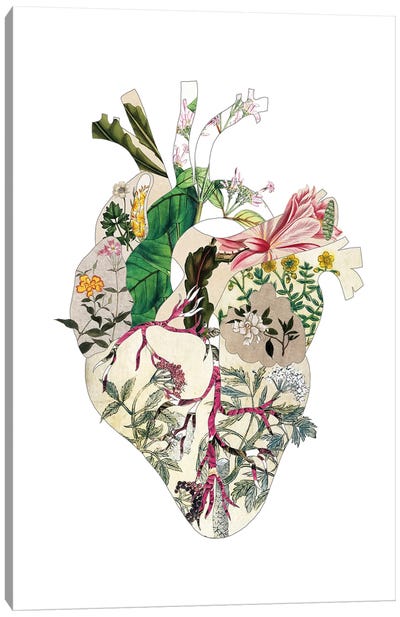 Vinatge Botanical Heart Canvas Art Print - Bianca Green