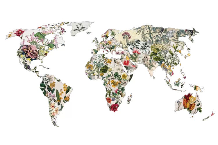 Vintage Botanical World by Bianca Green wall art