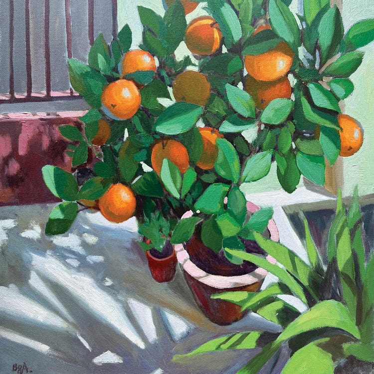 Orange Tree