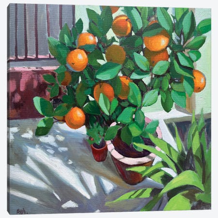 Orange Tree Canvas Print #BGV25} by Anna Bogushevskaya Canvas Print