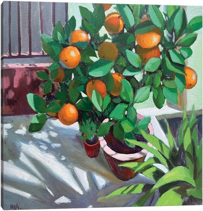 Orange Tree Canvas Art Print - Orange Art