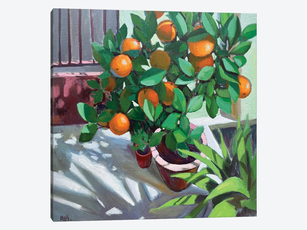 Orange Tree by Anna Bogushevskaya 1-piece Canvas Wall Art
