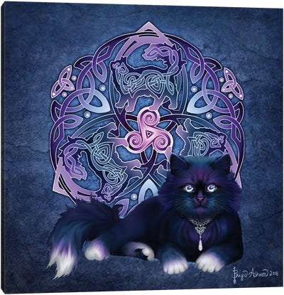 Celtic Black—Fluffy Cat Canvas Art Print - Brigid Ashwood
