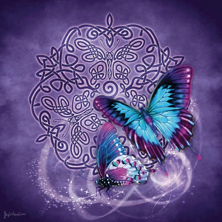 Celtic Butterfly by Brigid Ashwood wall art