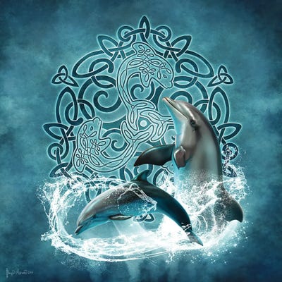 Celtic Dolphin by Brigid Ashwood canvas print