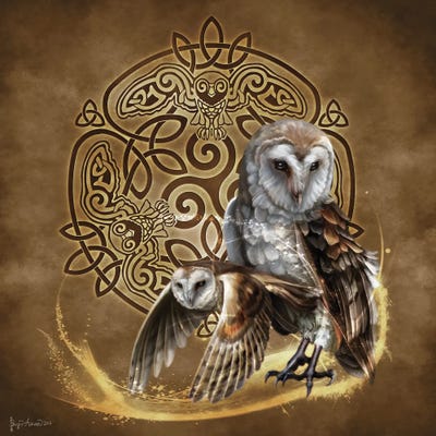 Celtic Owl by Brigid Ashwood framed wall art