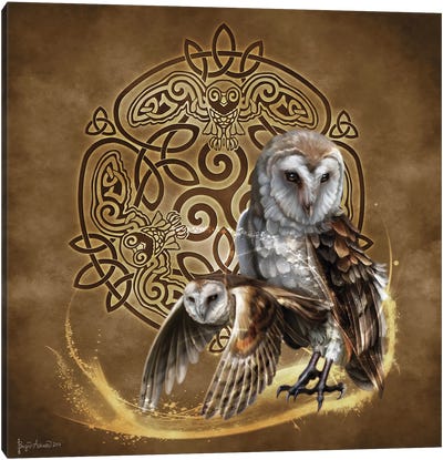 Celtic Owl Canvas Art Print - Brigid Ashwood