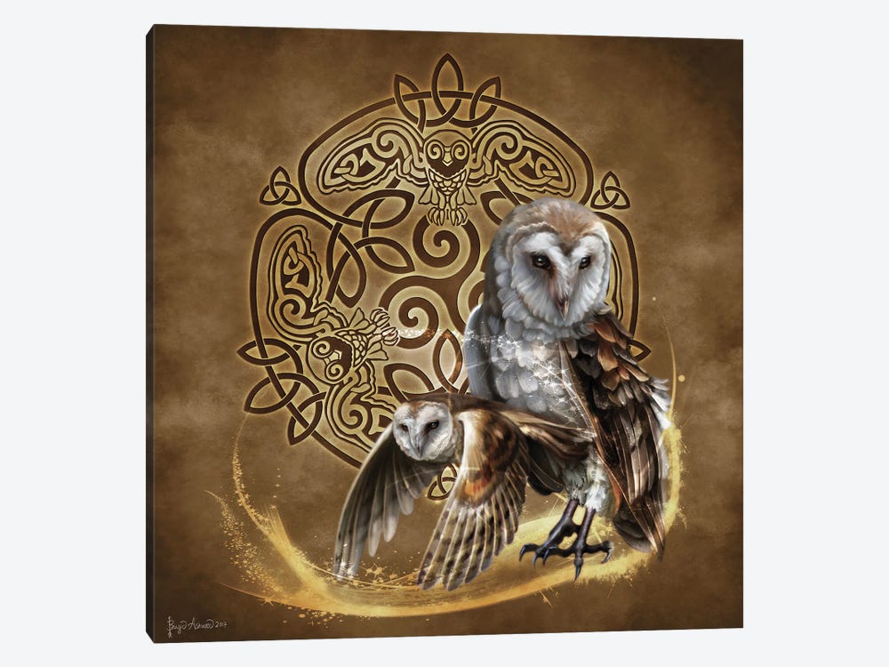 Celtic Owl by Brigid Ashwood 1-piece Canvas Art