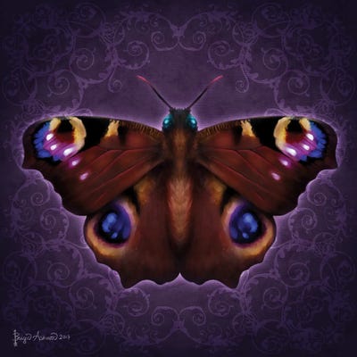 Damask Butterfly by Brigid Ashwood art print