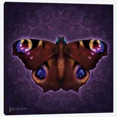 Damask Butterfly Canvas Print #BGW3} by Brigid Ashwood Art Print