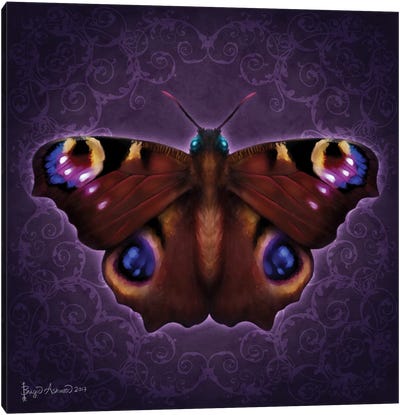 Damask Butterfly Canvas Art Print - Damask Patterns