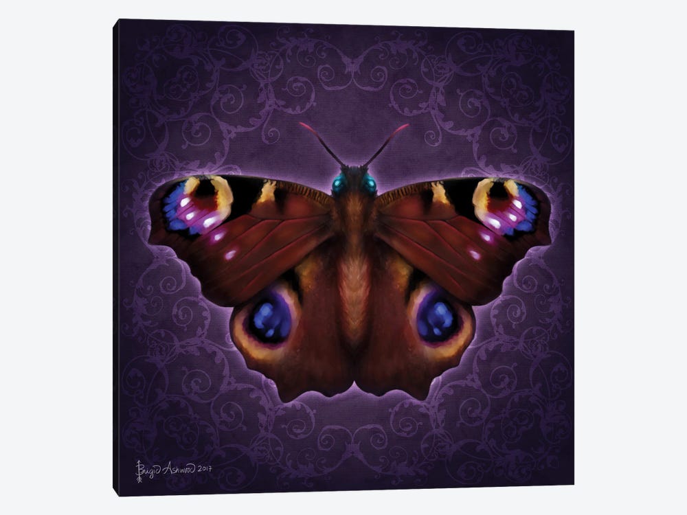 Damask Butterfly by Brigid Ashwood 1-piece Canvas Art
