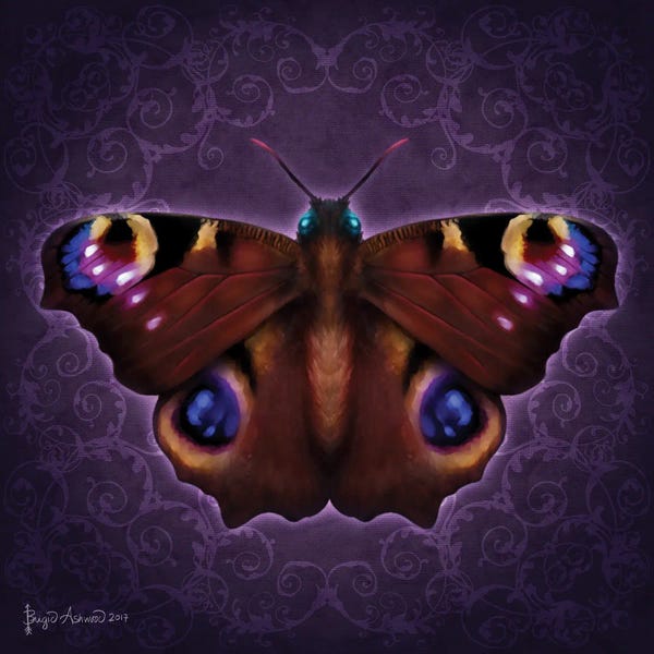 Damask: Damask Butterfly by Brigid Ashwood