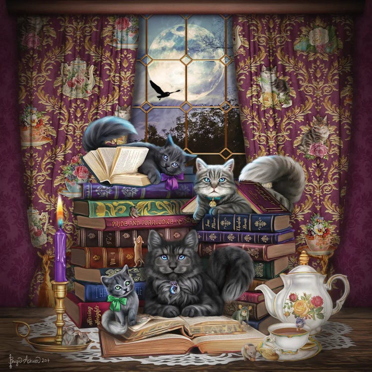 Storytime Cats And Books