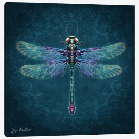 Damask Dragonfly Canvas Print #BGW4} by Brigid Ashwood Canvas Wall Art