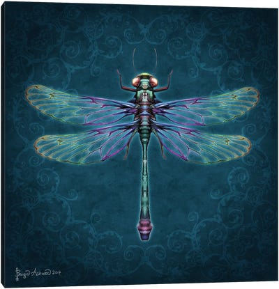 Damask Dragonfly Canvas Art Print - Insect & Bug Art