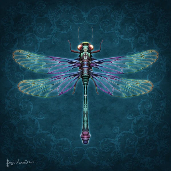 Dragonflies: Damask Dragonfly by Brigid Ashwood