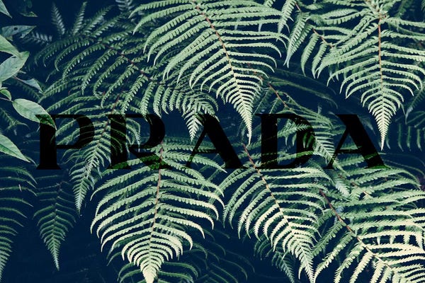 Prada: Unconcealed Charm by 5by5collective