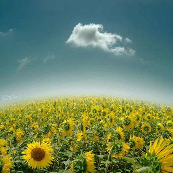 Composite Photography: Be Unique by Ben Heine