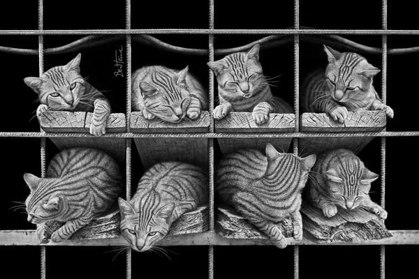 Sleeping & Napping: Octet by Ben Heine