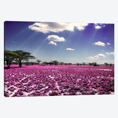 Meadow of Life Canvas Print #BHE114} by Ben Heine Canvas Wall Art