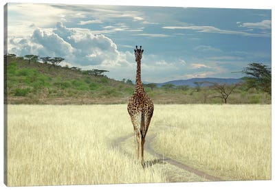 Until I get There Canvas Art Print - Giraffe Art